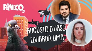 LUIZ AUGUSTO D’URSO E EDUARDA LIMA - PÂNICO - 25/06/21