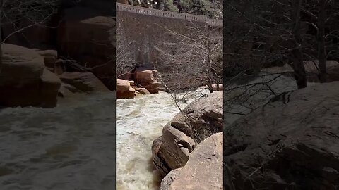 Very fast and wild water at Slide Rock Park in Sedona, Arizona. Do not enter! #asmr #asmrsounds