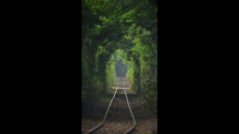 Train in green village #green #village #train #new #today #viral #trending #viralreels #trendingreel