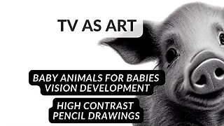 Art for Babies | 10 mins High Contrast Video for Babies | Help Develop Visual Skills | BABY ANIMALS