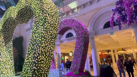 BELLAGIO SPRINGTIME DISPLAY 2023