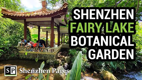 Walking Around at Fairy Lake Botanical Garden in Shenzhen