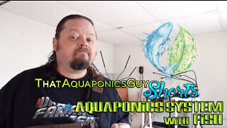 Aquaponics Systems with Fish - ThatAquaponicsGuy Shorts