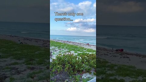 #beach #florida #funnyvideo