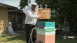 Neighborhood buzzing after man puts three active beehives on his property