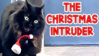 The Christmas Intruder