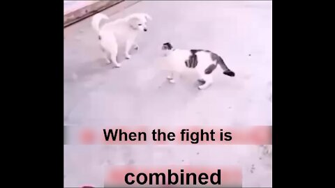 When the fight is combined