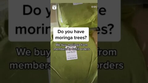 Do You Have Moringa Trees? Fulfill Orders Ship to Buyers As a Member of The Grow Moringa Collective