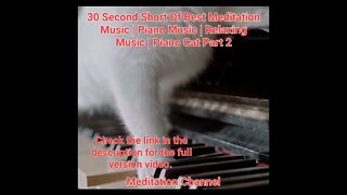 30 Second Short Of Best Meditation Music | Piano Music | Relaxing Music | Piano Cat Part 2 #shorts