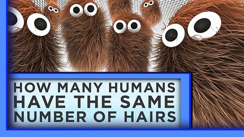 How Many Humans Have the Same Number of Body Hairs?