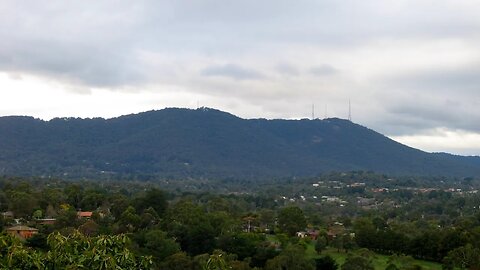 Mount Dandenong hike Review ( Australia Victoria )