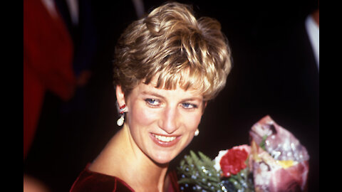 Princess Diana would have haulted Harry's Oprah interview