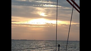 Solo Sailing Tamps Bay Florida