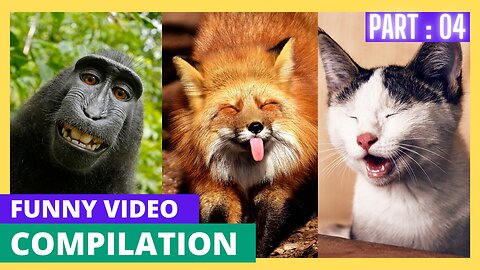 Funniest Animals 2023 😂 New Funny Cats and Dogs Videos 😻🐶 Part 04