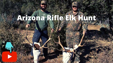 Arizona Elk Hunting