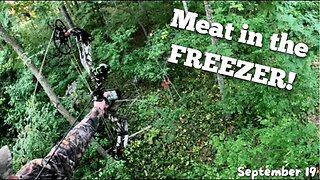 Wisconsin Deer Bow Opening Week 2023, Early Season Deer on Public Land!