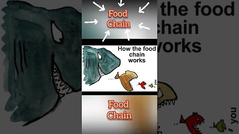 How to food chain work? #shorts #ytshorts #food #foodchain