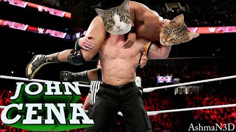 if your cat is John Cena 😂 Funny Animals Videos 😂 2021 (watch till the end)