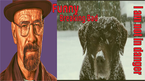 Funny Breaking Bad - I am not in danger - Walter White