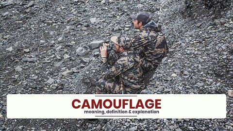 What is CAMOUFLAGE?