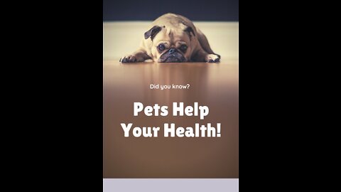 How to improve dog health