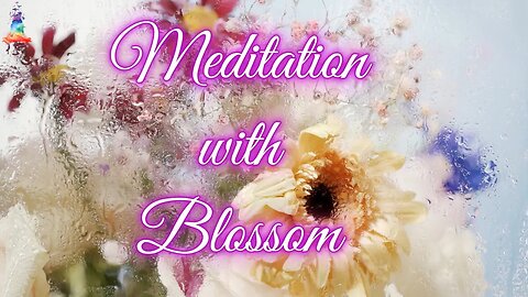 Breath and Body: Mindful Movement and Meditation with Blossom #stressrelief #healing #anxietyrelief