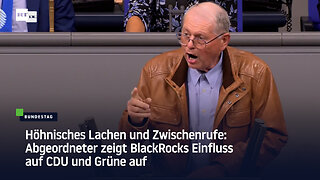 Höhnisches Lachen und Zwischenrufe: Abgeordneter zeigt BlackRocks Einfluss auf CDU und Grüne auf