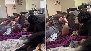 Snackish dog adorably tries to get owner's attention