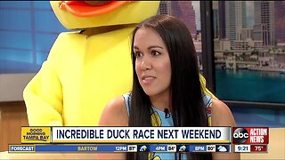 Incredible Duck Race rolls down river in Tampa Aug. 24