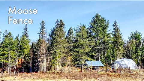 Rustic Fence to Keep Moose out of my Off Grid Wilderness Homestead Garden