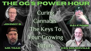 Curing Cannabis The Keys To Your Growing Future