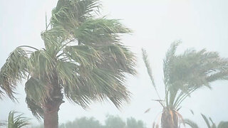 Tropical storm Dorian may intensify before hitting Florida