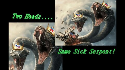 #169~ Two Heads-Same Snake. The Party Division Agenda