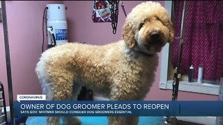 Owner of dog groomer pleads with governor to reopen