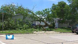 Clean-up from EF-1 tornado in Appleton