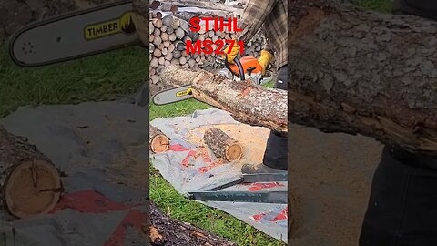 Ms 271 throwing chips #stihl #chainsaw