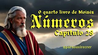 Números 28 Bíblia Sagrada #133 Com legenda @paraouvirecrer Resumo do capítulo na descrição.