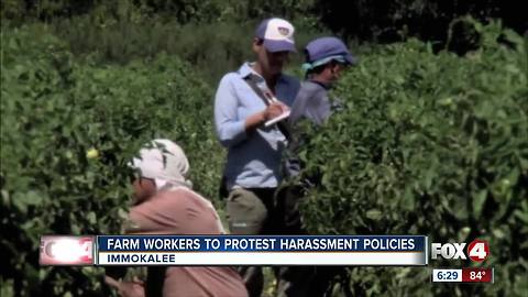 Farm workers plan protest over sexual harassment