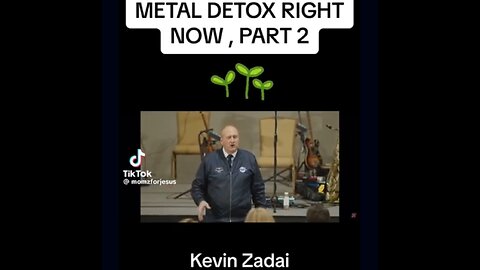 Metal Detox - Kevin Zadai