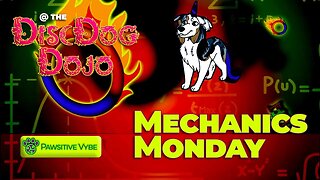 DiscDogDojo #65 | Mechanics Monday