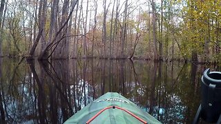 SC Kayak Camping Adventure on the Edisto River with the Colonel!