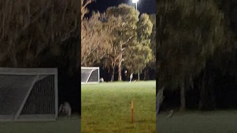 Soccer Fans Dare to Get a $5500 Fine by breaking Curfew and Playing Football (Albert Park) 16/09/21