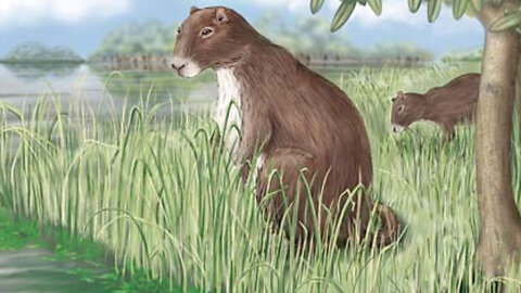 Meet The Phoberomys The Giant Ancient Rodents!
