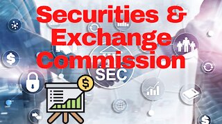 What is the Securities and Exchange Commission (SEC)?