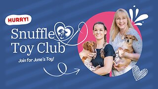 LAST DAY for June Snuffle Toy Club Sign Up