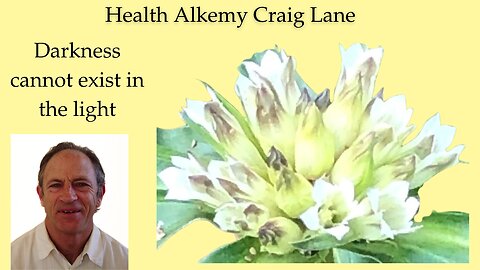 Craig Lane Health Alkemy Dinner Talk- Inspiring Stories + Inner Guidance