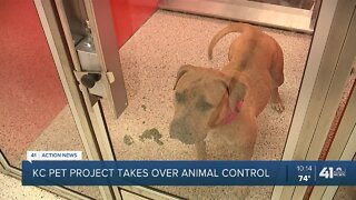 KC Pet Project takes over animal control