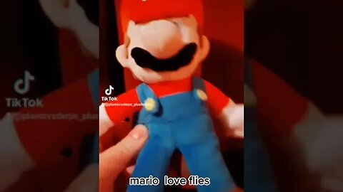 Mario love flies Mario plush
