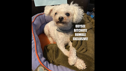 Rumble/Odysee/Bitchute Exclusive Hot Take: Nov 5th 2023 News Blast!
