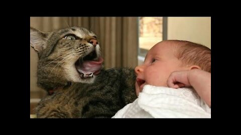 Cute Baby Playing with funny cat